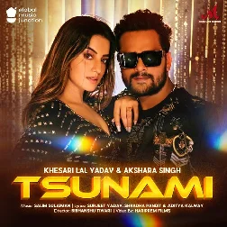 Agar Teri Jawani Tufani Hai To Meri Sunami Se Kam Nahi