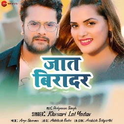 Dil De Da Bichhawatani Chadar Hai Tahare Jaat Biradar Mp3 Song