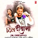 Dil Deewana Dhadake Tohra Pyar Me Odhani Jabse Banhe Lagalu Daan Me