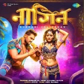 Hum Pyar Se Boli La Tu Ban Jalu Nagin Dj Song