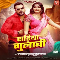 Kahe Pahirelu Sariya Gulabi Ae Bhabhi Nabhi Ke Niche Mp3 Song