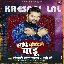 Tohara Pyar Me Khayeb Jharu Rani Sahi Pakadale Badu Mp3 Song