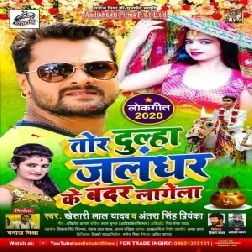 Tor Dulha Jalndhar Ke Bandar LagelaDj Remix Song